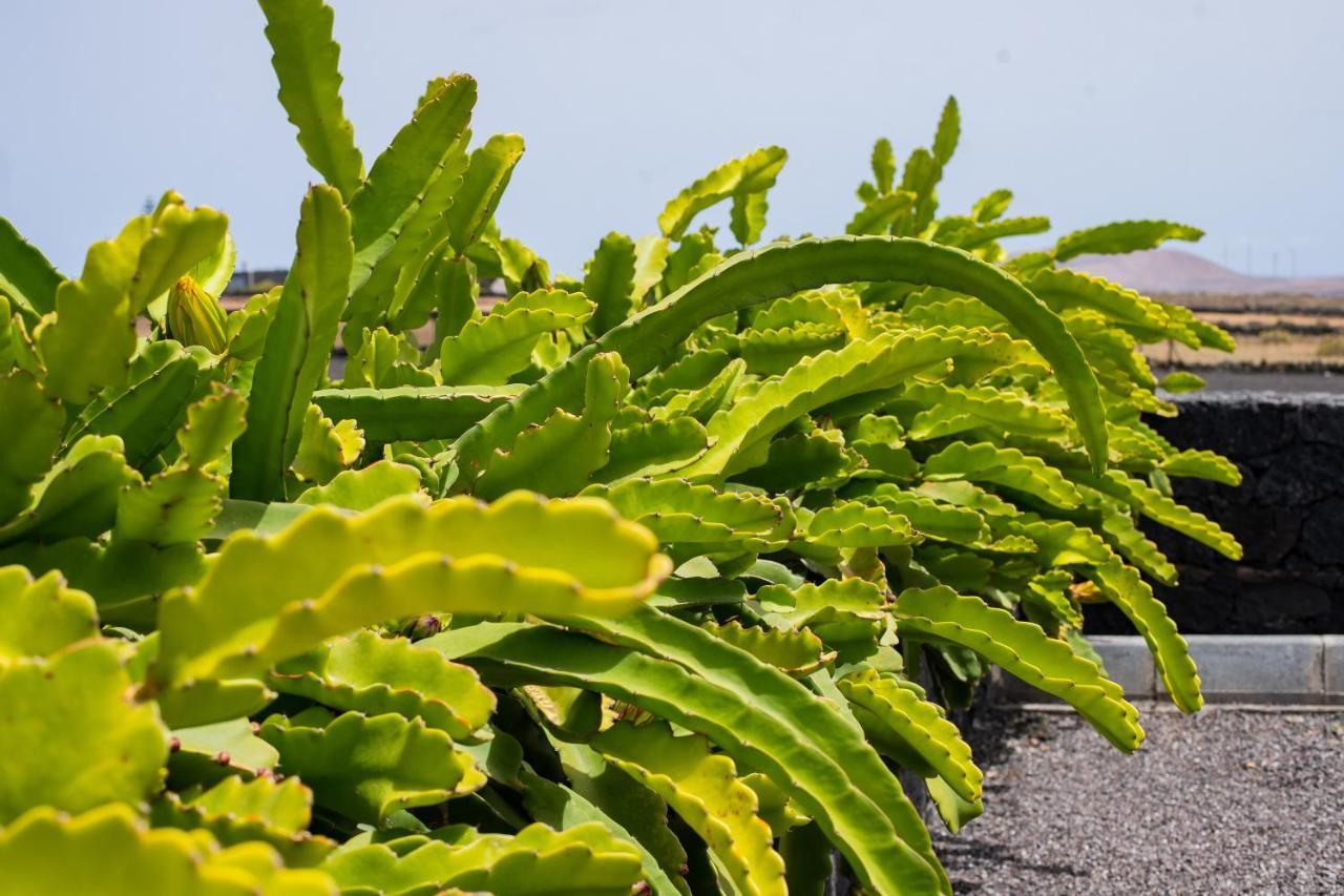 Eslanzarote Eco Dome Experience Hotel เตกีเซ ภายนอก รูปภาพ