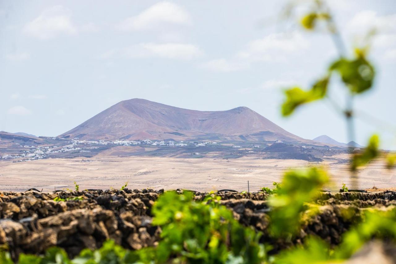 Eslanzarote Eco Dome Experience Hotel เตกีเซ ภายนอก รูปภาพ