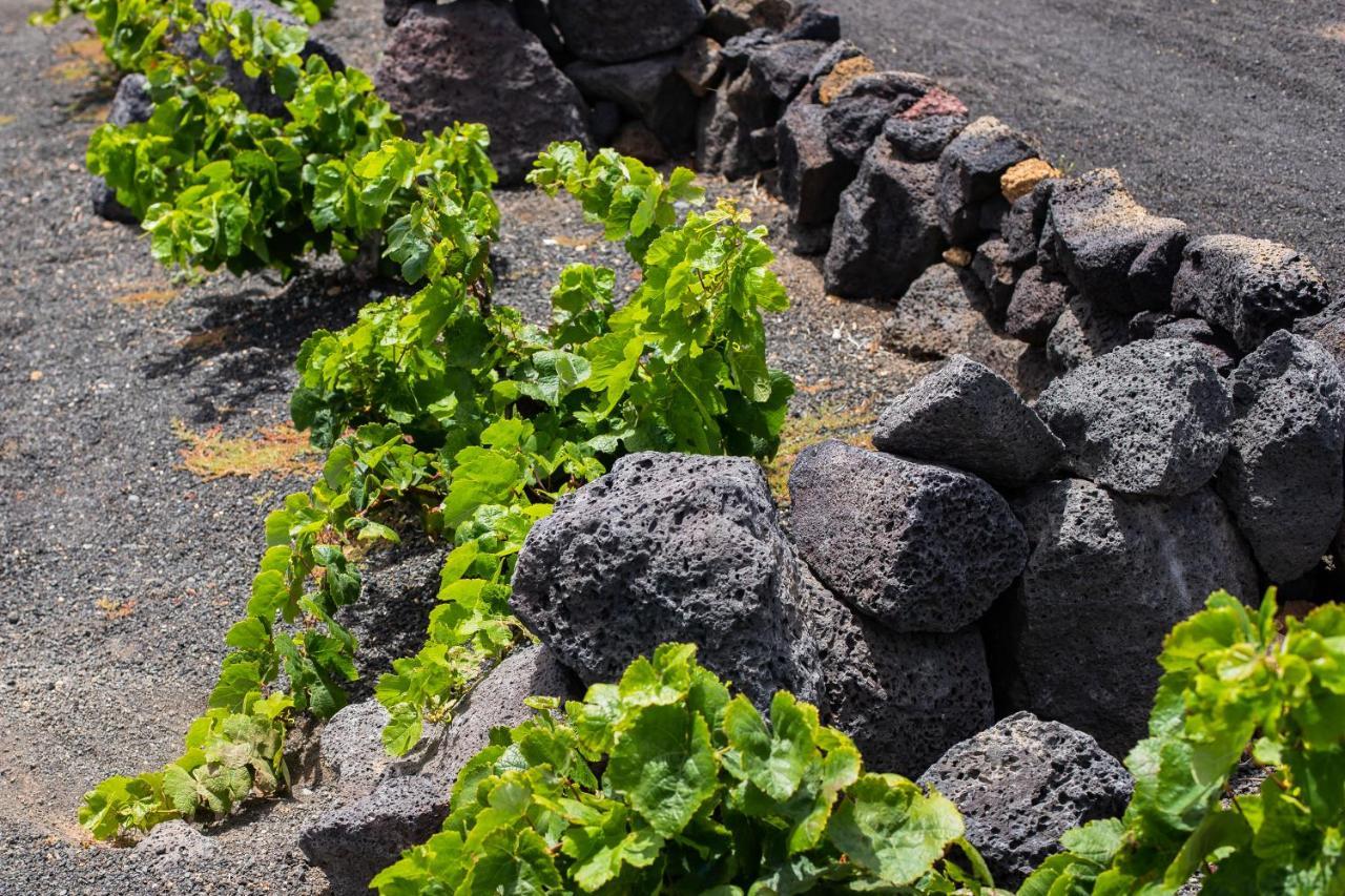 Eslanzarote Eco Dome Experience Hotel เตกีเซ ภายนอก รูปภาพ